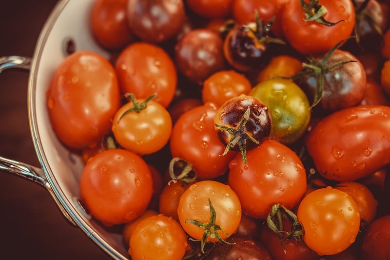 Food Image